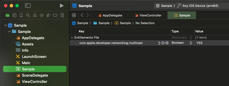 MulticastNetwork3